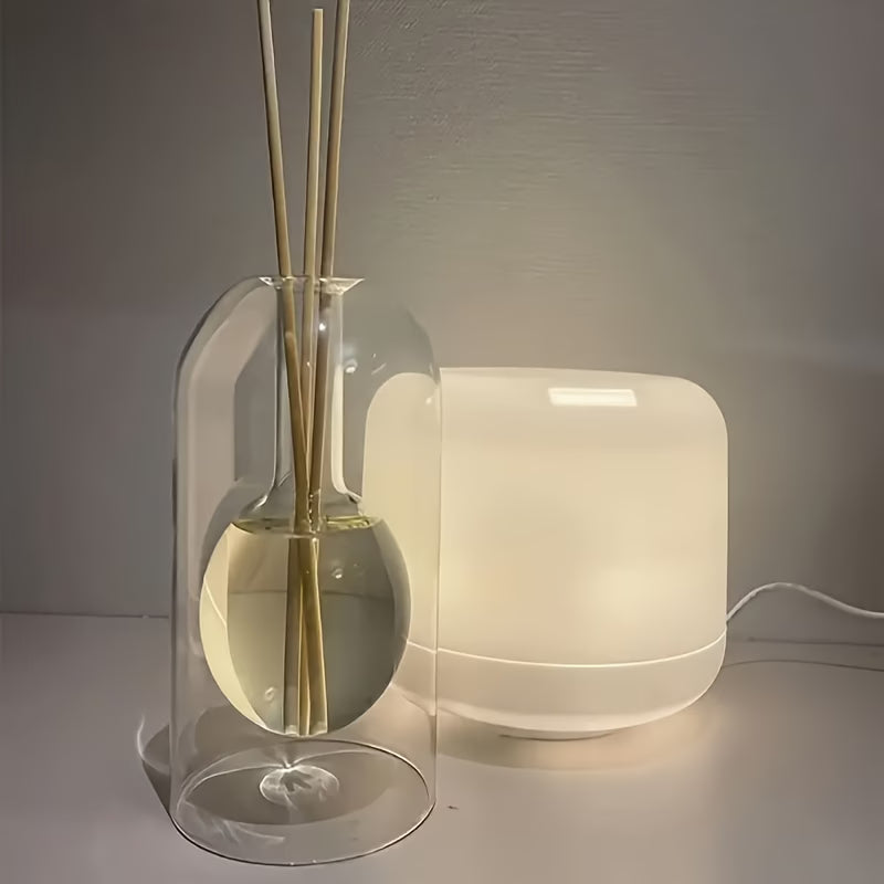 Aromatic Glass Diffuser Bottle – Modern Home & Office Vase